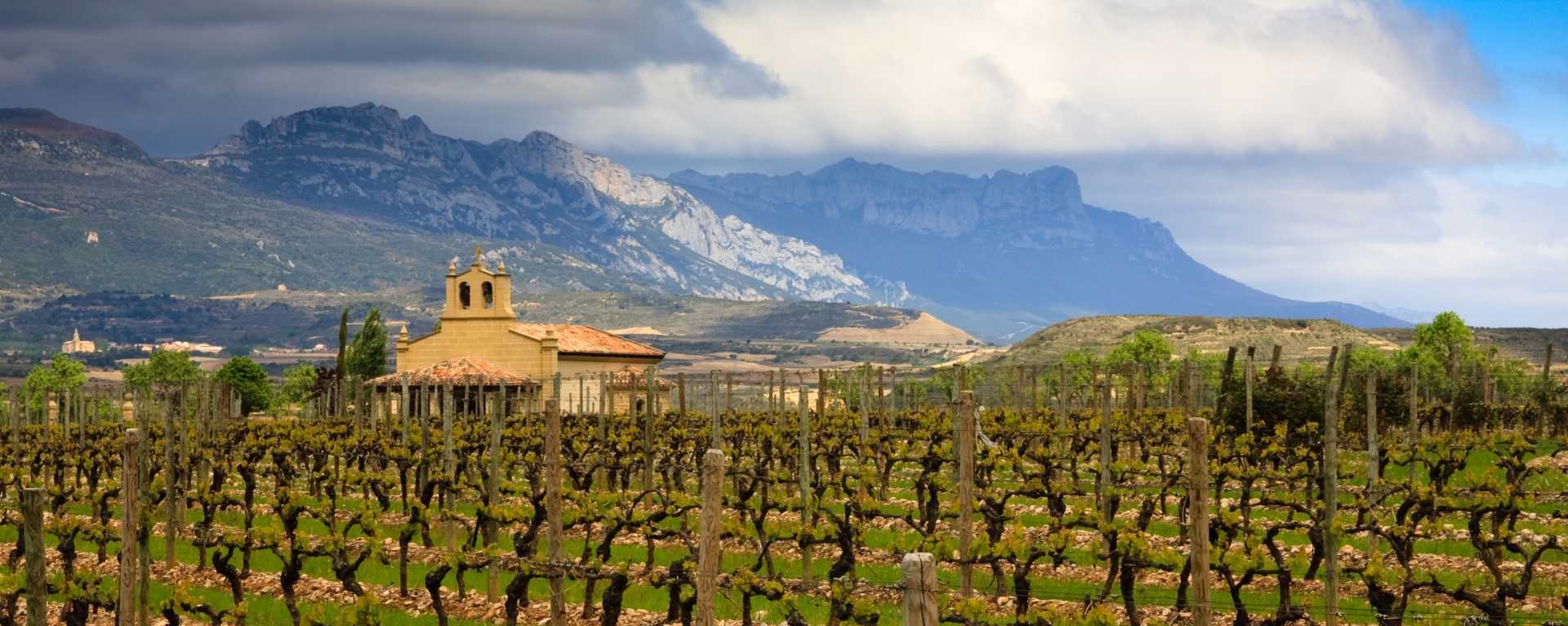 Image for Bierzo Wine Spain content section