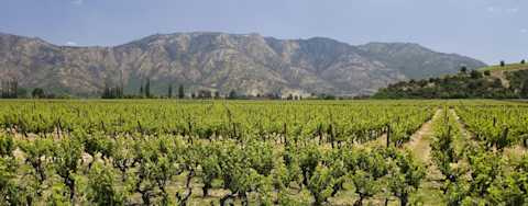 Image for Maipo Valley Chile content section