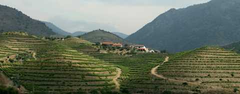 Image for Madeira Portugal content section