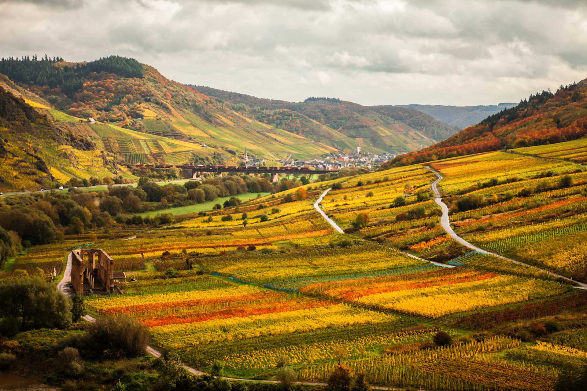 German Wines - your go-to for the dinner table banner image