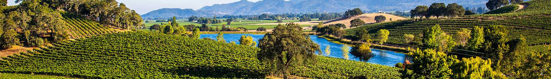 Image for Santa Lucia Highlands Wine Monterey, California content section