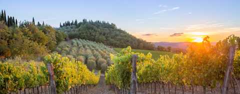 Image for Chianti Classico Tuscany, Italy content section