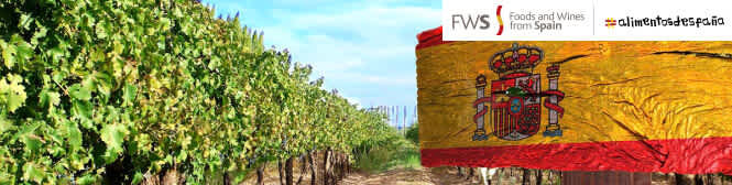 Image for Spanish Wine content section
