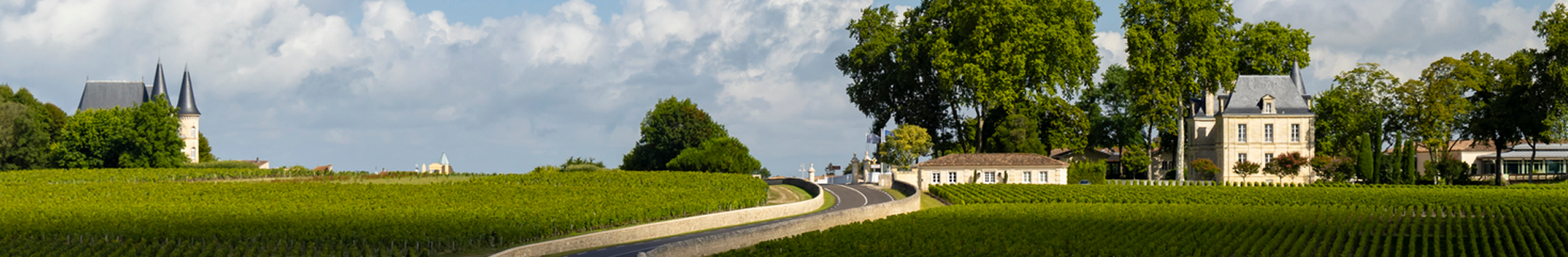 List Page Learn About Content Graphic