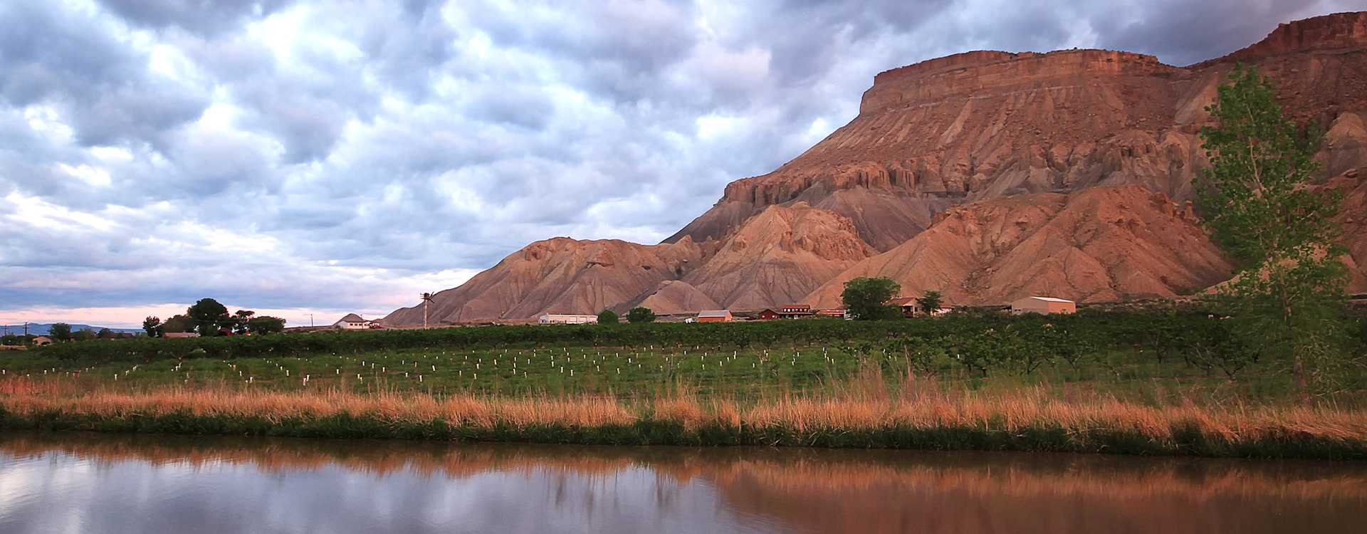 Image for New Mexico Wine U.S. content section