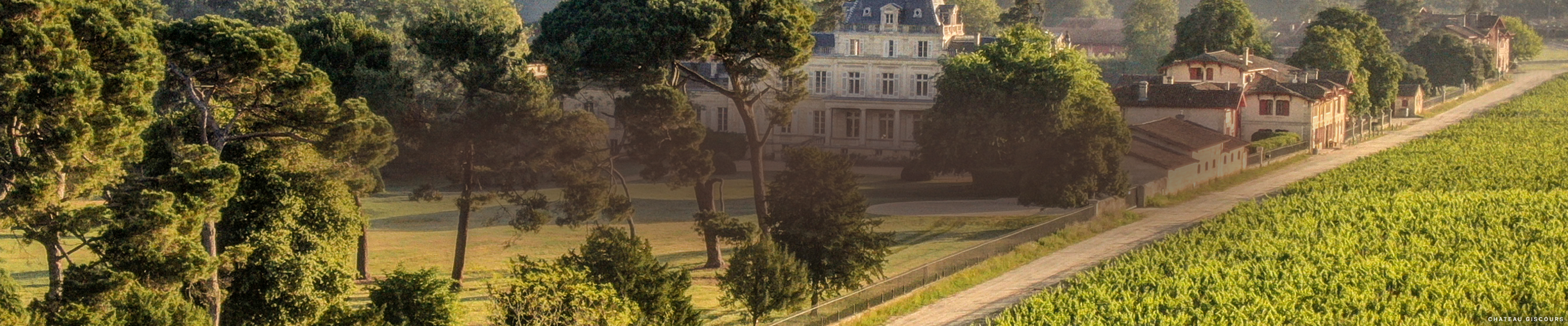 Dive Into the World of Bordeaux