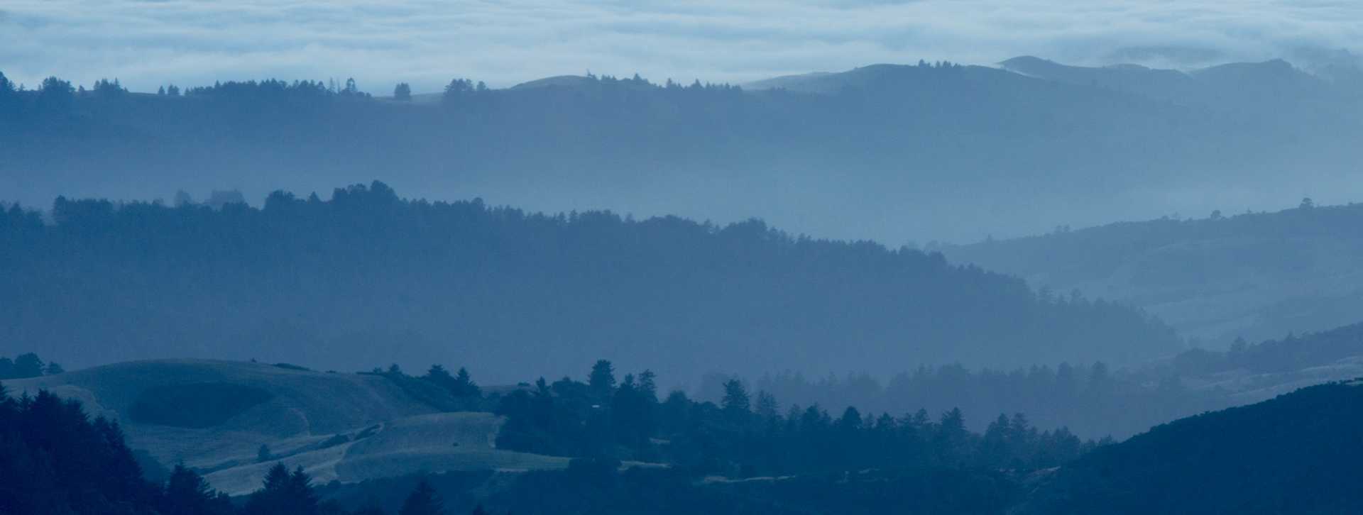 Image for Santa Cruz Mountains Wine California content section
