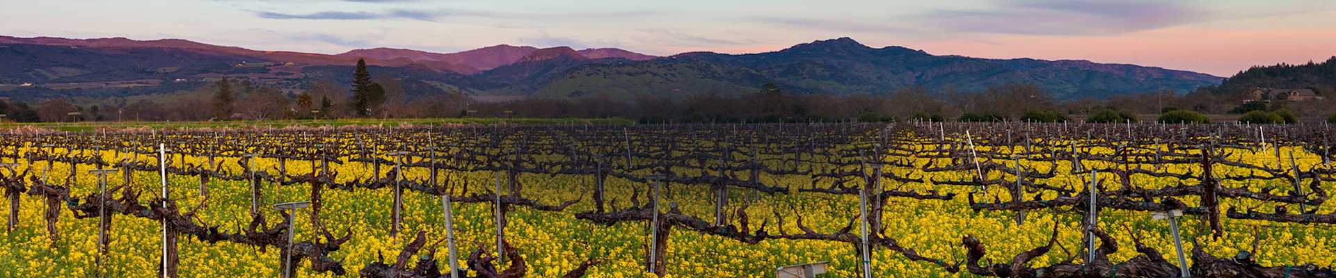 Wine Delivered<br/>Right to Your Door