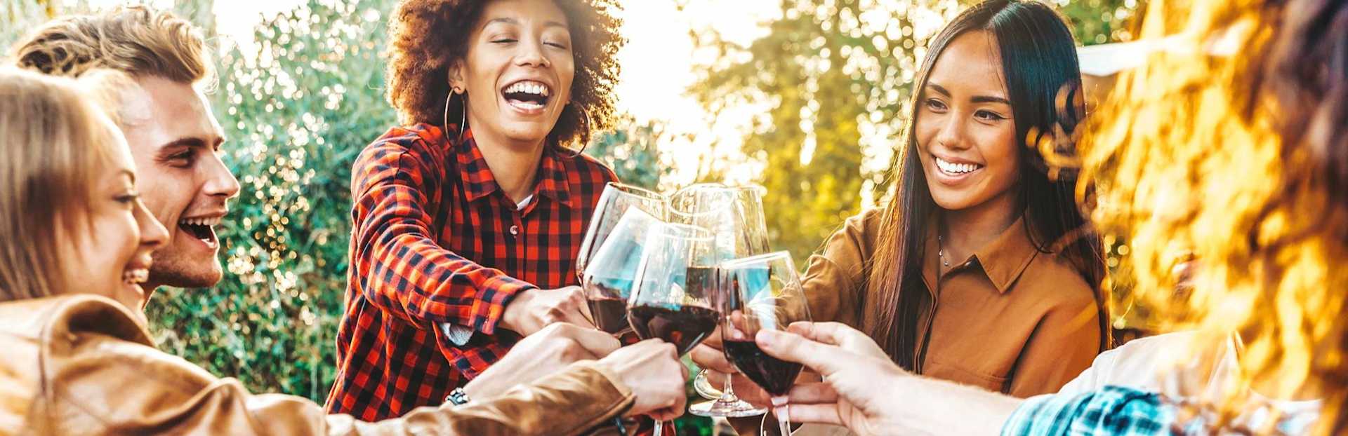 The Mild Red Wine Guide for New Drinkers banner image