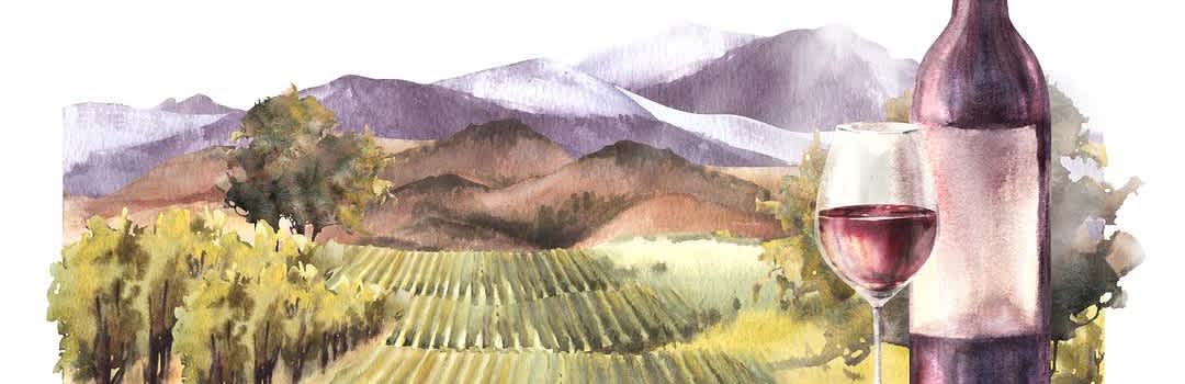 Wine Regions, Explained: Taste, Value, and What to Buy banner image