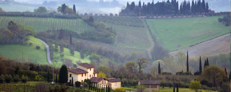 Central Italy, Sangiovese Country Rolling hills, cypress trees, and legendary reds.
