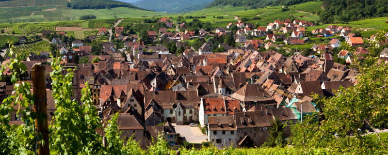 Discover Alsace This Summer Perfect dry, food-friendly wines for summer.