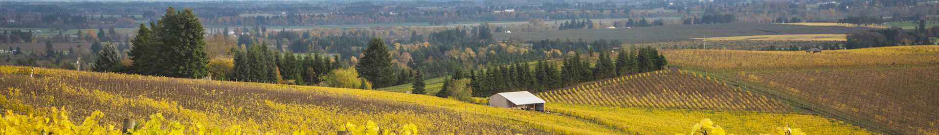 Image for Oregon Wine U.S. content section