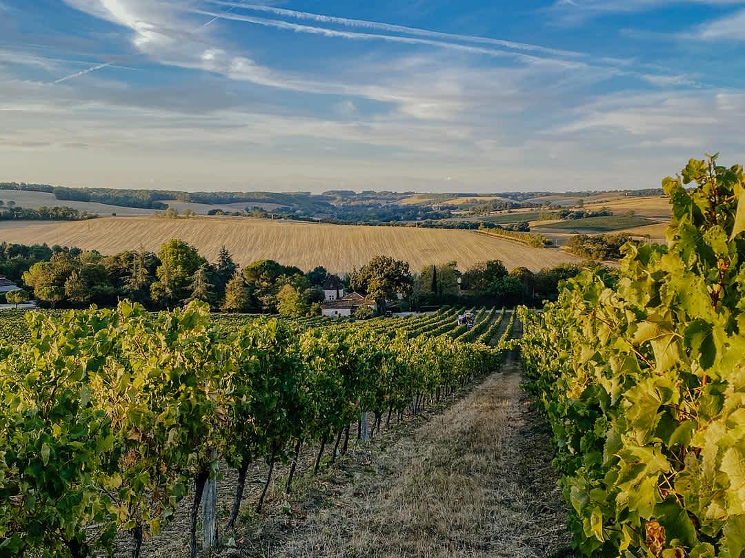 Wines Similar to Sancerre, Explained: Styles, Regions, and What to Buy banner image