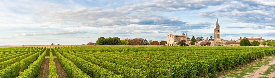 What to Know About Bordeaux White Wines banner image