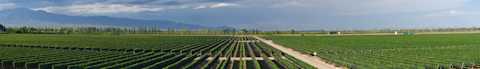 Image for Mendoza Argentina content section