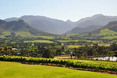Image for South Africa content section
