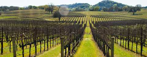 Image for Alexander Valley Sonoma County, California content section
