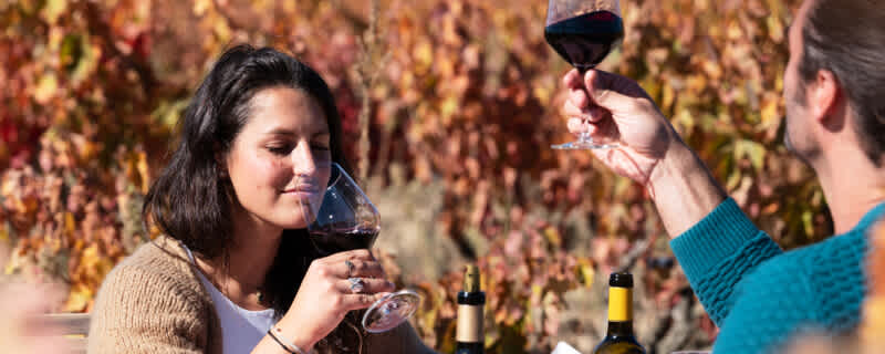Discover Wines to Kick-Off Fall  Perfect pairings to crisp weather and comfort foods.
