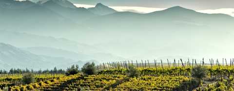 Image for Uco Valley Mendoza, Argentina content section