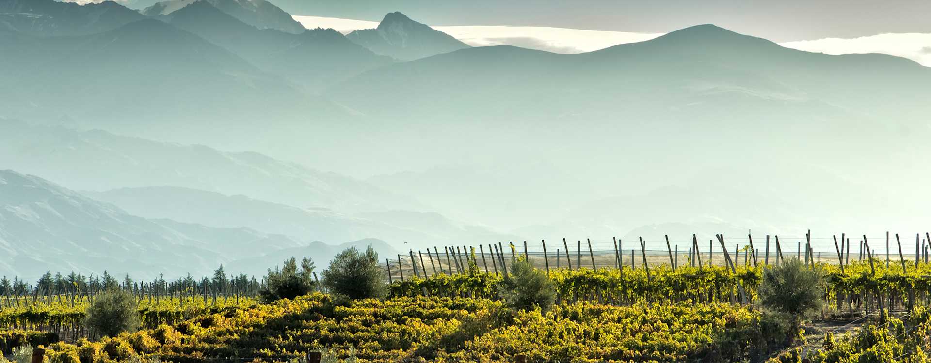 Image for Uco Valley Wine Mendoza, Argentina content section