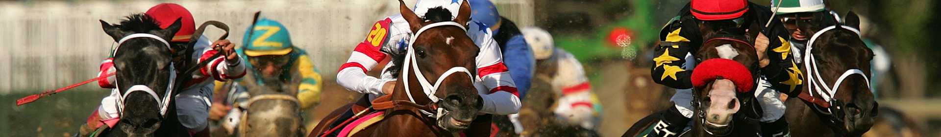 Kentucky Derby banner image