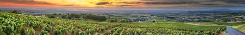 Image for Beaujolais content section