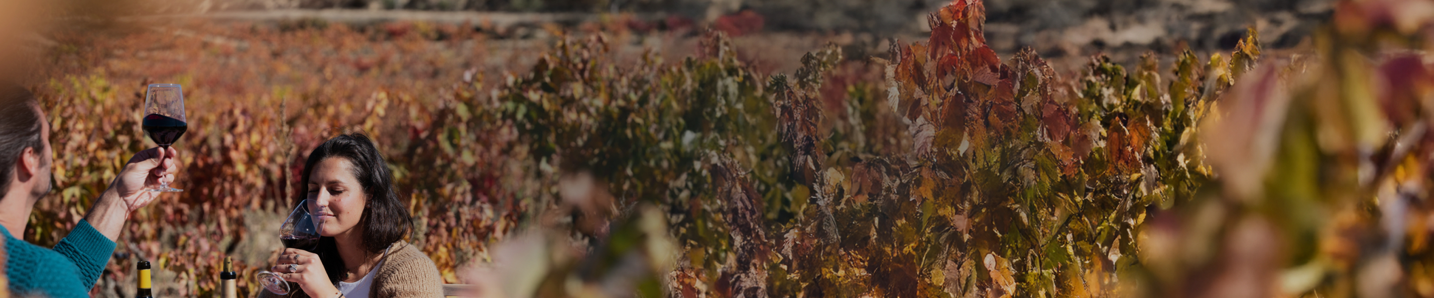 Discover Wines to Kick-Off Fall
