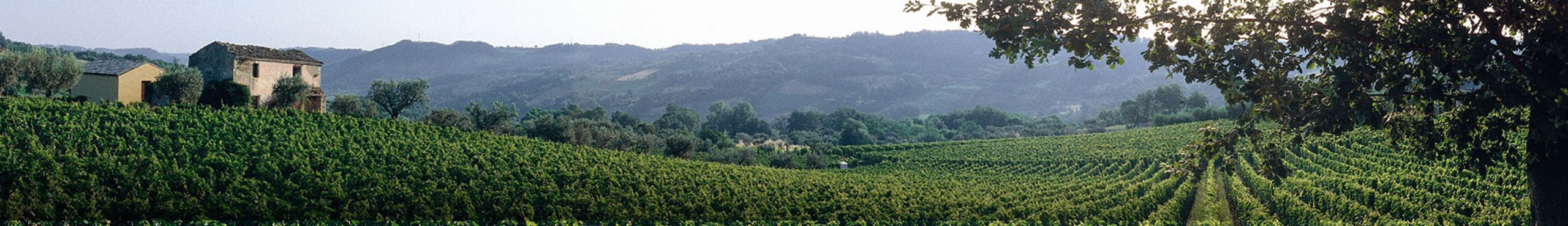 List Page Learn About Content Graphic