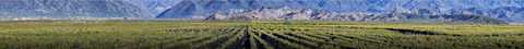 Image for Argentina content section