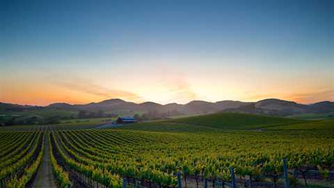 Image for California Cabernet Sauvignon content section