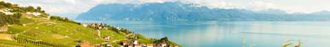 Image for Saint-Joseph Rhone, France content section