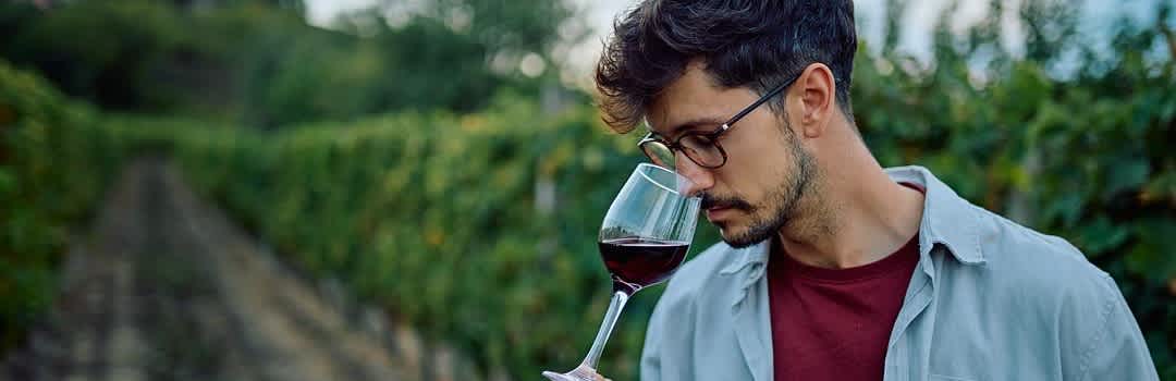 The Essential Guide to Red Wines Similar to Malbec banner image