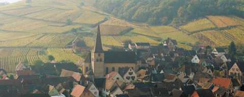 New Traditions, French Roots Explore Alsace wines for your holiday table.