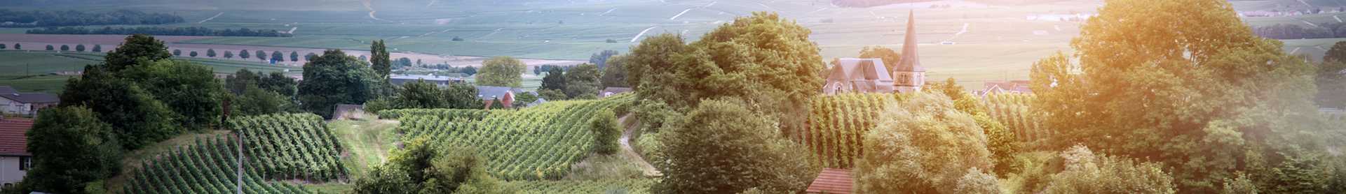 Image for Champagne France content section