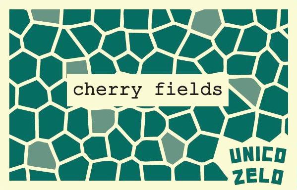 Flat front label of wine