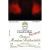 Flat front label of wine