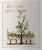 Flat front label of wine