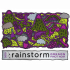 Rainstorm Pinot Noir 2010 Front Label