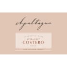 Apaltagua Costero Extra Brut Front Label