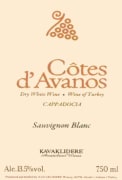 Cotes d'Avanos Cotes d'Avanos Sauvignon Blanc 2010 Front Label