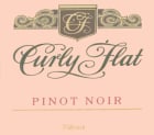 Curly Flat Vineyard Pinot Noir 2013 Front Label