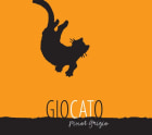 Giocato Wines Pinot Grigio 2010 Front Label