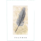 Feather Cabernet Sauvignon 2015 Front Label