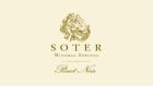 Soter Vineyards Mineral Springs Pinot Noir 2009 Front Label