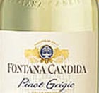 Fontana Candida Pinot Grigio 2002 Front Label