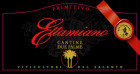 Cantine Due Palme Salento Ettamiano Primitivo 2009 Front Label