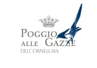 Ornellaia Poggio alle Gazze dell'Ornellaia 2019  Front Label