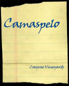 Cayuse Camaspelo 2017  Front Label