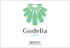 Godelia Godello 2021  Front Label